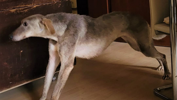 Sofia unser lustiges Chortaj-Mädchen ist da